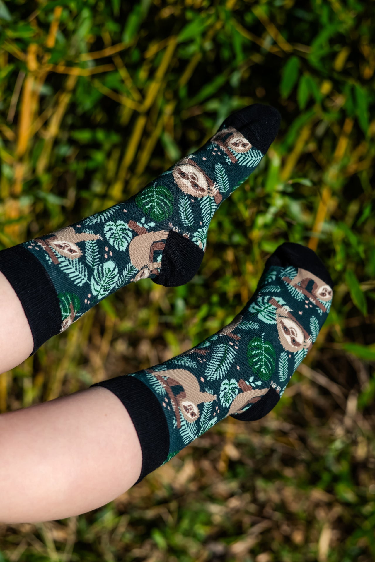 Sloth