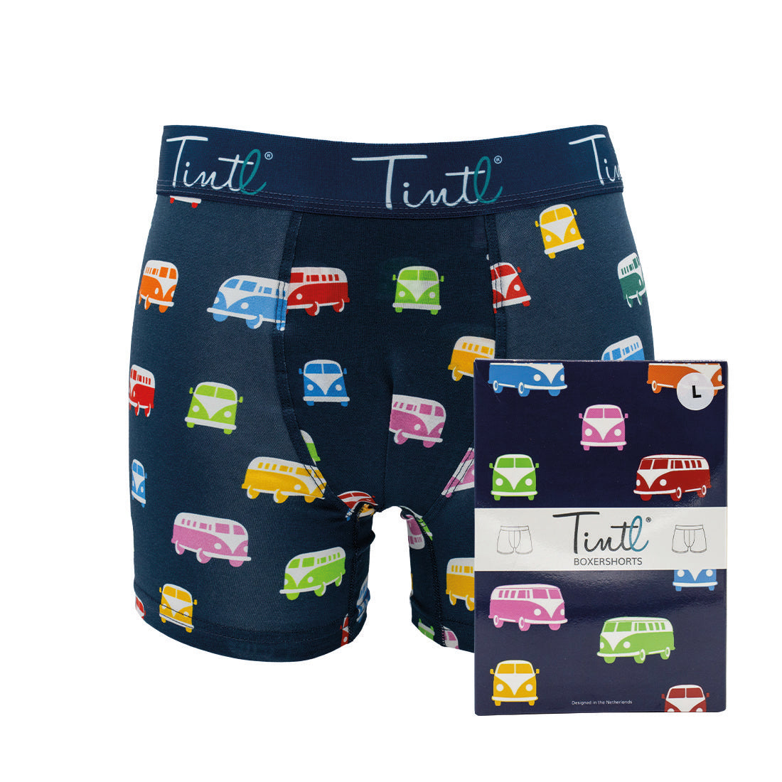 7_Tintl_Boxer_WEB
