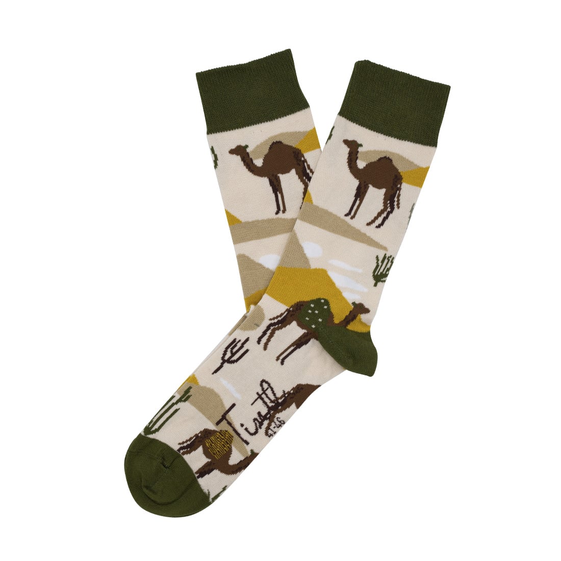 Dromedary_Tintl_los_WEB