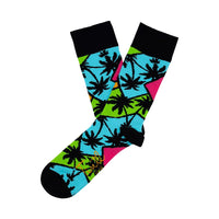 Thumbnail for Palmtrees_Tintl_los_WEB