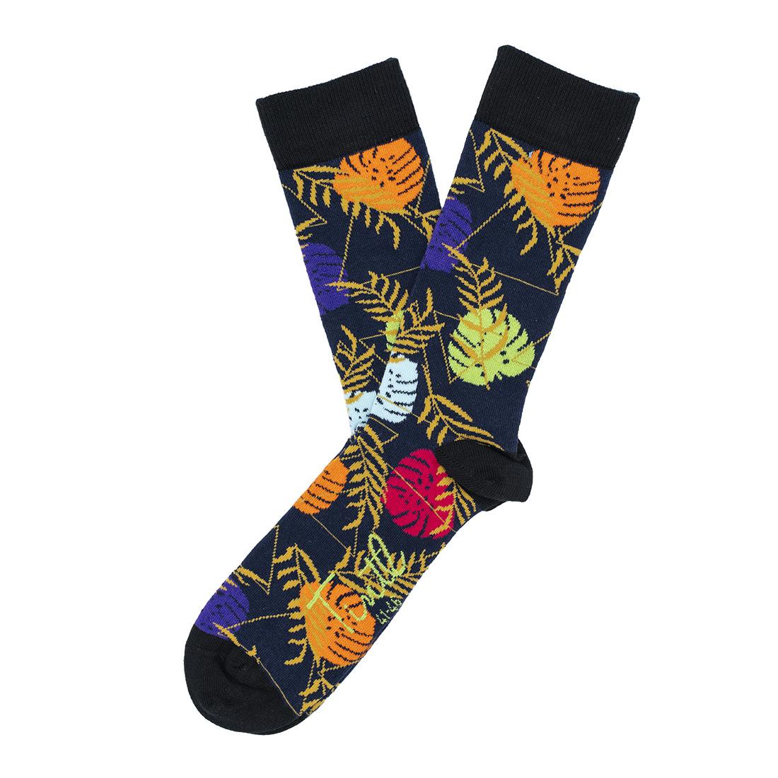 Tropical_Tintl_los_WEB