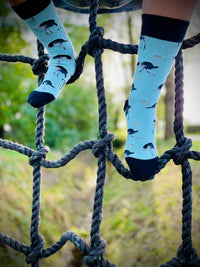 Thumbnail for image00349