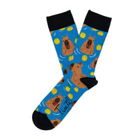 Thumbnail for Flamingos