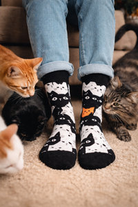 Thumbnail for Cats