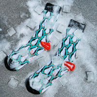 Thumbnail for Penguin