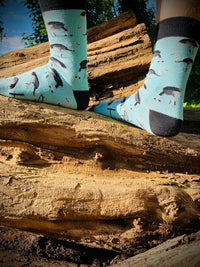 Thumbnail for Strauß